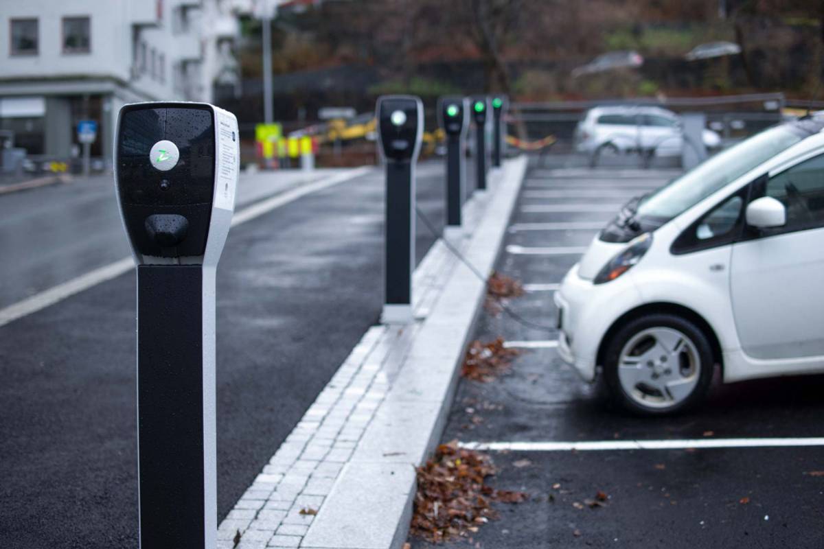 Colonne Premium - Twin (pour 2 bornes Pro) - Grise